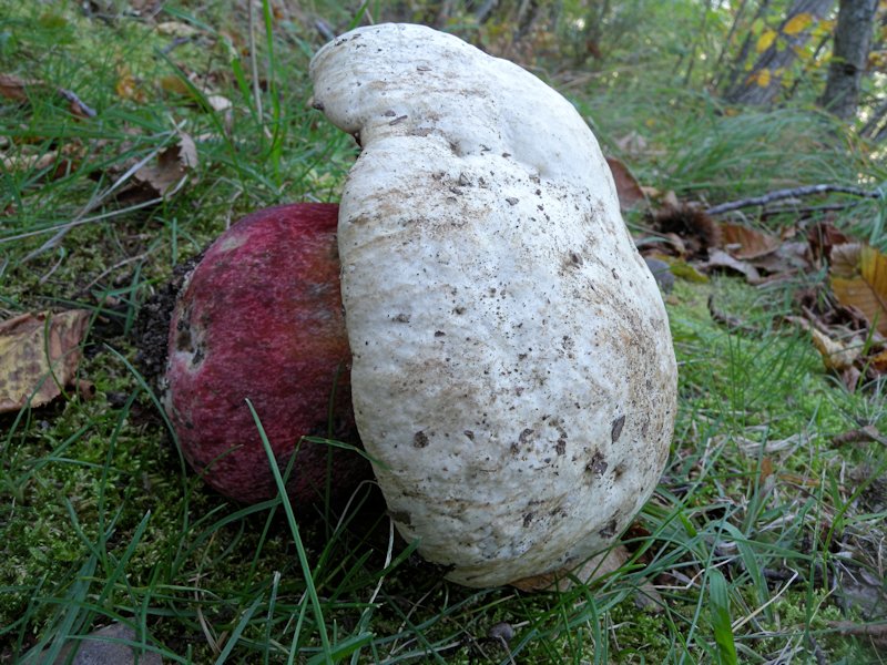 Forse l''ultima bellissima giornata..!!